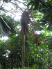 s_A_PICT0089_thumb.png